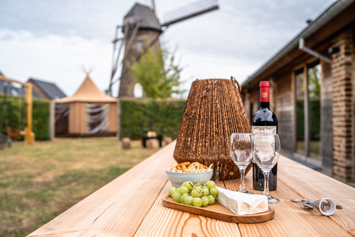 Borrelplank met kaas, druiven en wijn op de picknicktafel in de tuin bij de molen